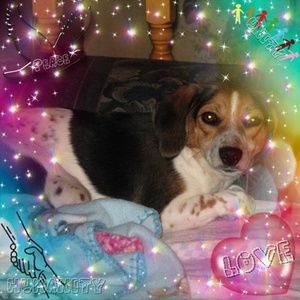 Meet your Posher, Liz morrow